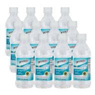 Germ-X 10oz Original Hand Sanitizer, 10oz Bottle (12 pack)